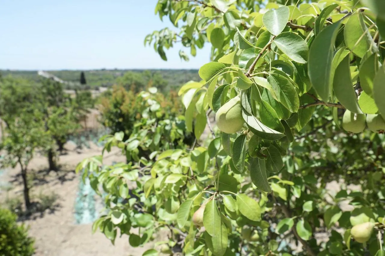 Casa di campagna Affittacamere Jardinu Noto Italia