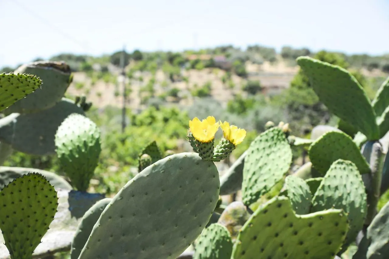 Affittacamere Jardinu Noto Casa di campagna