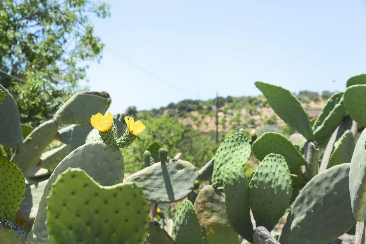 Affittacamere Jardinu Noto Casa di campagna